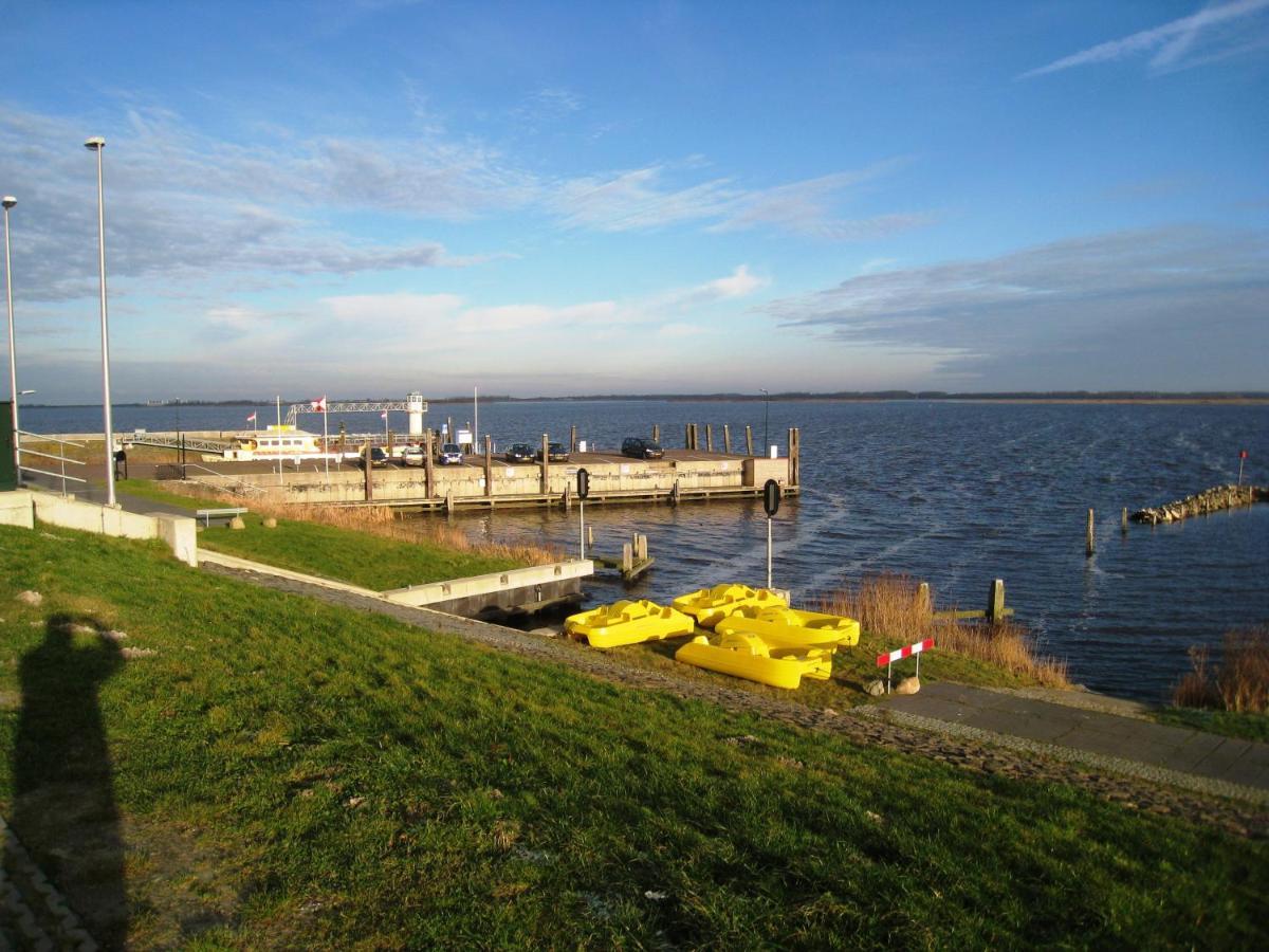 Haus Kormoran Am Lauwersmeer 175 Anjum エクステリア 写真