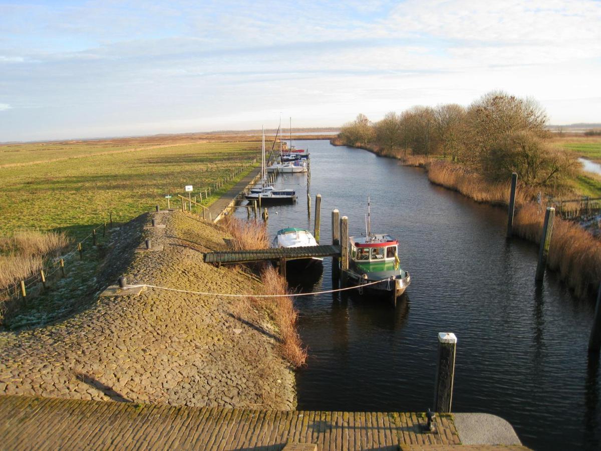 Haus Kormoran Am Lauwersmeer 175 Anjum エクステリア 写真