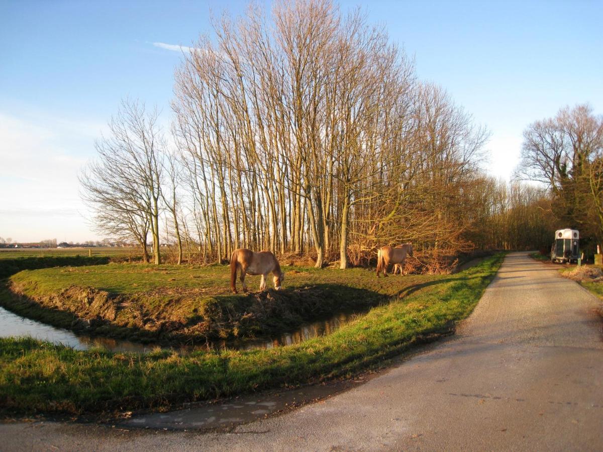 Haus Kormoran Am Lauwersmeer 175 Anjum エクステリア 写真