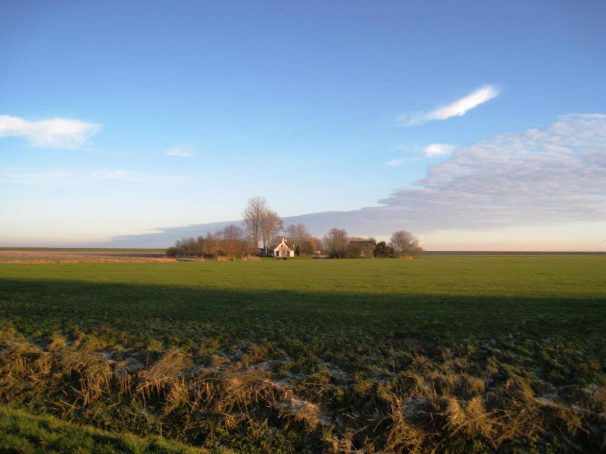 Haus Kormoran Am Lauwersmeer 175 Anjum エクステリア 写真