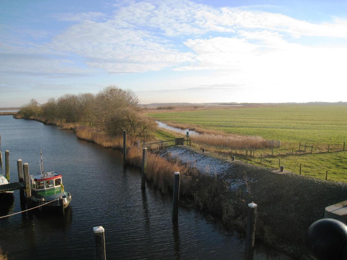 Haus Kormoran Am Lauwersmeer 175 Anjum エクステリア 写真
